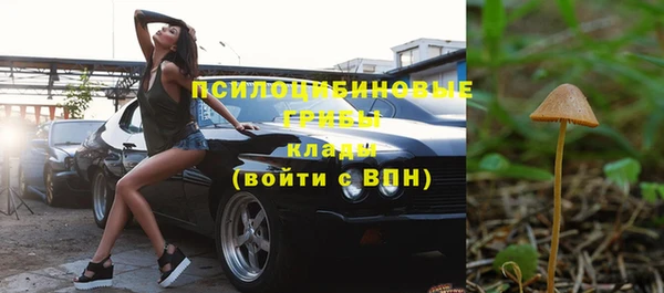 ешки Абинск