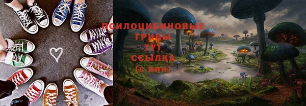 ешки Абинск