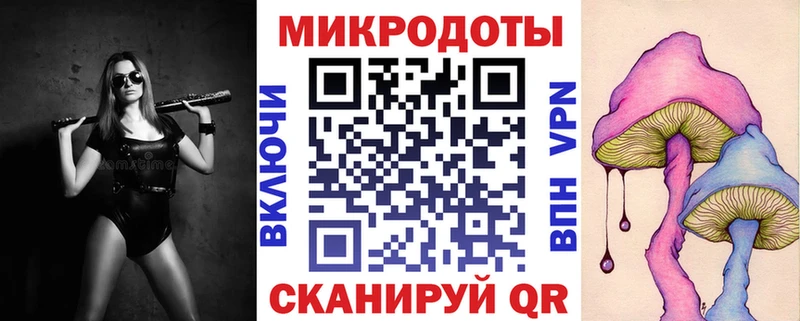 Галлюциногенные грибы Psilocybine cubensis Чебаркуль