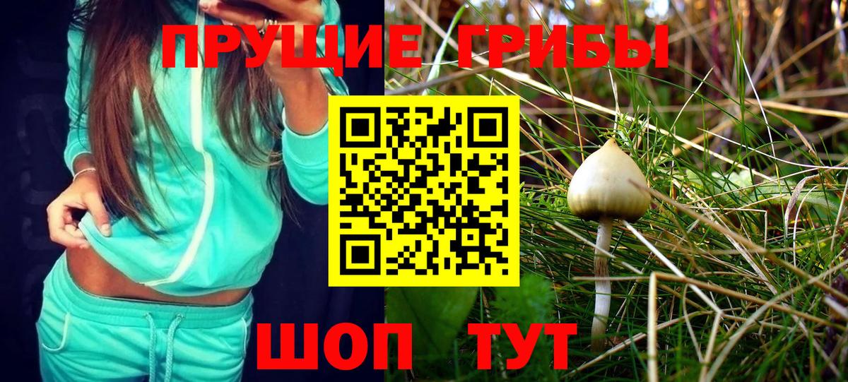 Галлюциногенные грибы MAGIC MUSHROOMS Чебаркуль