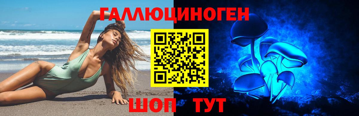 Чебаркуль  Псилоцибиновые грибы GOLDEN TEACHER  Вход с VPN 